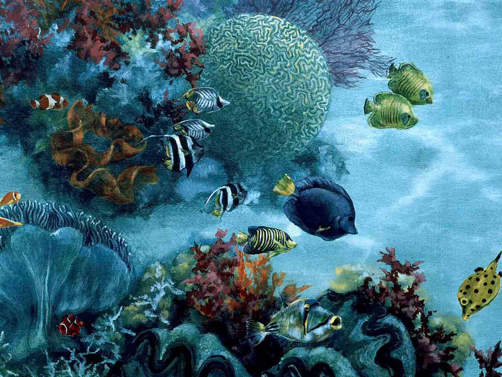 Coral reef and sea life design mural | DKT Artworks