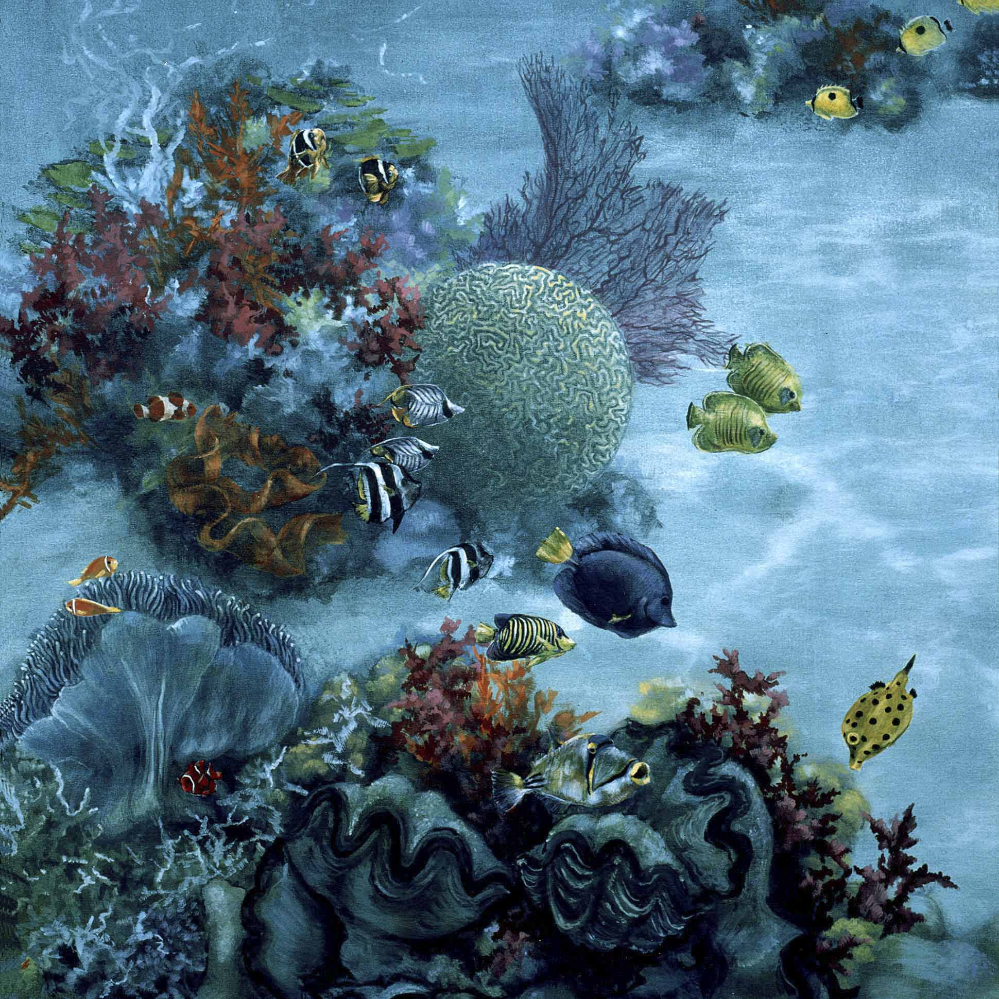 Coral reef and sea life design mural | © DKT Artworks